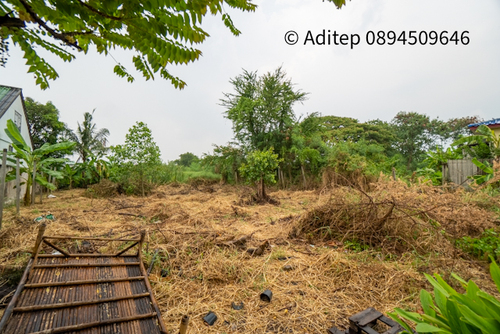 ขายที่ดินบางบัวทอง 200 ตารางวา ซ.ร่มโพธิ์ทอง ใกล้รถไฟฟ้าสายสีม่วงสถานีบางพลู เซ็นทรัลเวสเกต เหมาะปลูกบ้าน