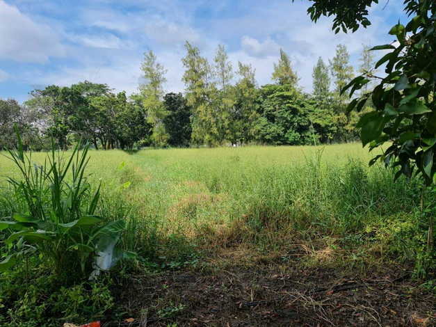 ขายที่ดินในสนามกอล์ฟวินด์เซอร์ปาร์ค  เขตหนองจอก กรุงเทพมหานคร