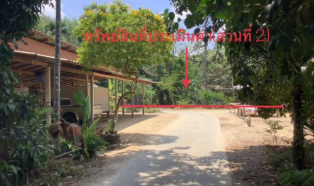 ขายบ้านเดี่ยวใกล้ โรงพยาบาลนบพิตำ อำเภอนบพิตำ จังหวัดนครศรีธรรมราช PKK02-13221