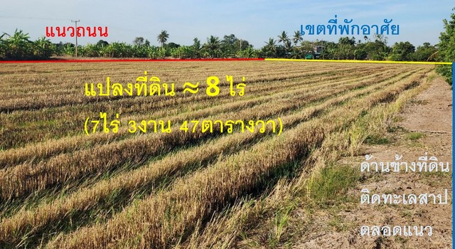 ขายด่วน ขายถูก  ที่ดินบางน้ำเปรี้ยว ฉะเชิงเทรา 300 เมตร จากถนนดำ