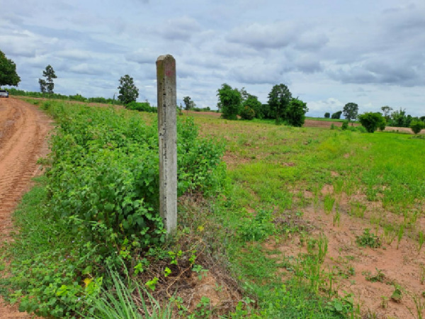 ขายที่ดินด่วนถูกมาก เนื้อที่ 47 ไร่ 2.9 ตารางวา ถนนภูเวียง-กุดฉิม ต.สงเปือย อ.ภูเวียง จ.ขอนแก่น เหมาะสำหรับการเกษตรกรรม รีสอร์ท ทำโครงการจัดสรร ด่วน เจ้าของจะไปต่างประเทศจากสามแยกภูเวียงเข้ามาเพียง 9 กิโลเมตรที่ดินรูปสี่เหลี่ยมผืนผ้า หน้ากว้าง 276 เมตร ลึก 320 เมตร เนื้อที่ 47 ไร่  2.9 ตารางวา– ติดแหล่งชุมชน สถานศึกษา โรงเรียนถ้ำแข้ วิทยา– ที่ดินหันหน้า ทิศเหนือ– ที่ด