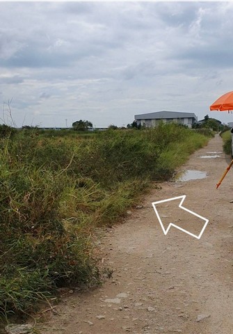ที่ดิน ที่ดิน ซอยวัดปลัดเปรียง ถนนบางนาตราด ต.บางแก้ว อ.บางพลี สมุทรปราการ ทำเลดีๆ สมุทรปราการ