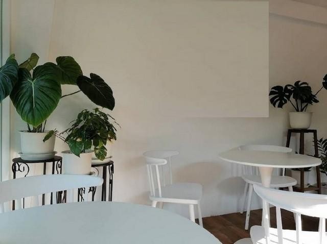 C4260 ให้เช่าบ้านเดี่ยว 2 ชั้น  ย่านสะพานควาย อารีย์ อินทามระ เหมาะทำคาเฟ่ โฮมออฟฟิศ ใกล้BTSสะพานควาย BTS อารีย์