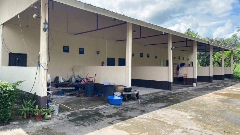 ขายที่ดิน 10ไร่ 208 ตร.ว พร้อมอาคารร้านค้าและรีสอร์ทและห้องพัก 10 ห้อง ตำบลวังสามหมอ อำเภอวังสามหมอ จังหวัดอุดรธานี