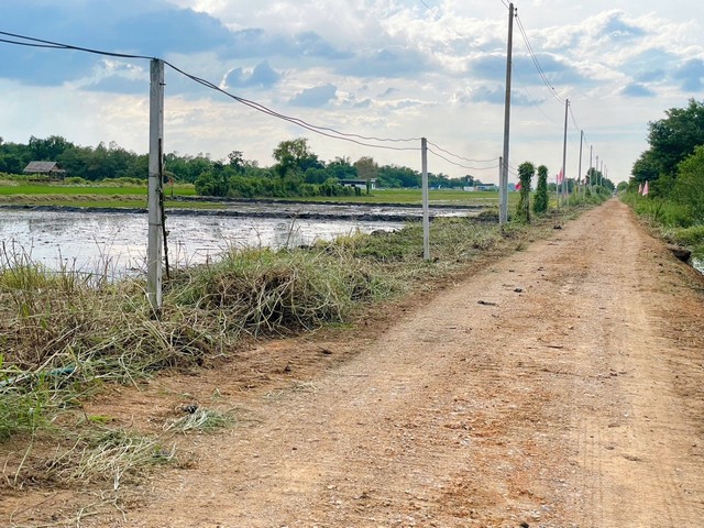 ขายที่ดินคลอง6 หมู่ 12 คลองหลวง ปทุมธานี ซอยคลองหกตะวันตก67