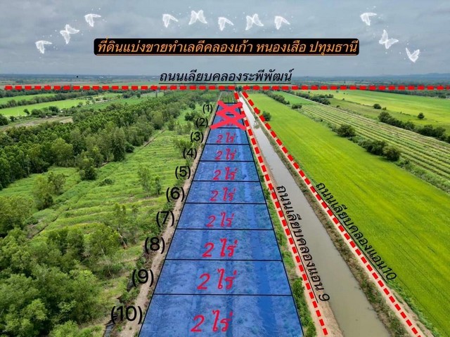 แปลงที่ดิน คลอง 9 (ระพีพัฒน์)  ที่ดินแบ่งขาย  ทำเลดี  ต.บึงกาสาม คลอง9 หนองเสือ ปทุมธานีแบ่งขาย  10ล็อค ล็อคละ 2 ไร่ราคาไร่ละ  1.2ล้าน  ราคารวม คือ 2.4 ล้าน สามารถแบ่งชำระได้  12 เดือน  ติดถนนเลียบคลองแอนทุกแปลง  ห่างถนนเลียบคลองระพีพัฒน์ 400 เมตร  วัดราษฎรบำรุง-วัดไก่หอบ  1.3 กม.  ห่างอำเภอหนองเสือ  10 กม.  ห่างถนนพหลโยธิน  6 กม.  ห่างอำเภอวังน้อย  12 กม.  ถนนกว้าง  8  เมตร  ห่างน้ำไฟ  500 เมตร  โฉ