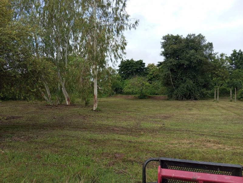 ขายที่ดิน ใกล้มหาวิทยาลัยแม่โจ้ เชียงใหม่ LH-SC000338