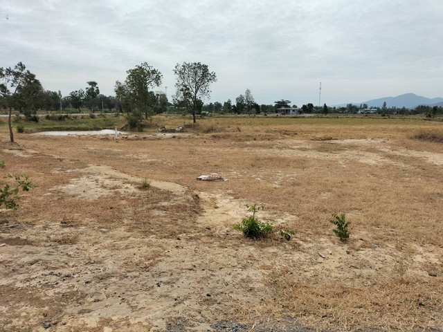 ขายที่ดินโฉนด พื้นที่ 1 ไร่ บ้านนกเขาเปล้า ต.เพนียด อ.โคกสำโรง จ.ลพบุรี