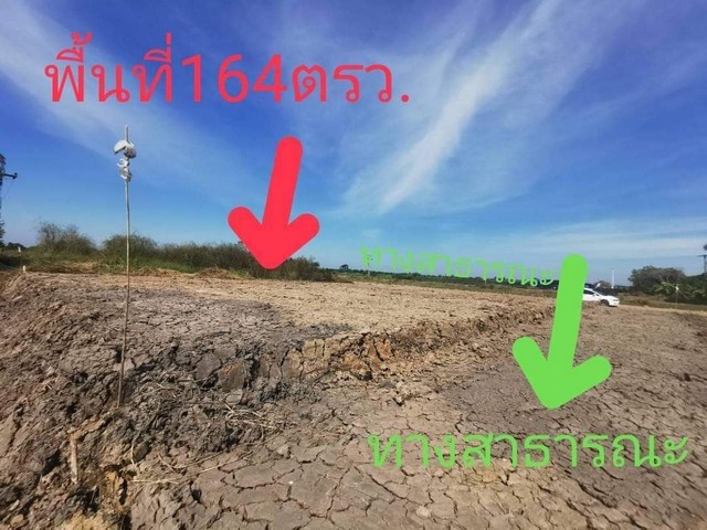 ที่ดินถมแล้ว คลอง8 บึงบอน47/2  หนองเสือ 164 ตรว.ติดถนน2ด้านแปลงมุม