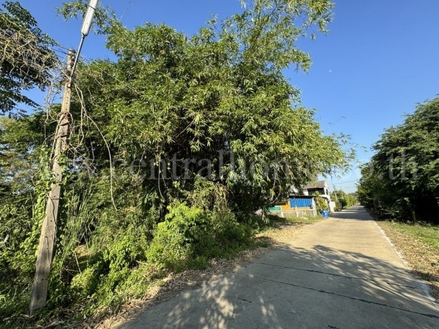 ที่ดินเปล่า 200 ตารางวา ถมแล้ว คลอง3 คลองหลวง ปทุมธานี