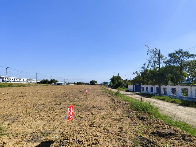 ที่ดินสด-ผ่อน คลองสาม คลองหลวงถมแล้ว ใกล้โรงเรียนสารสาสน์วิเทศคลองหลวง แหล่งชุมชน เจริญแล้ว