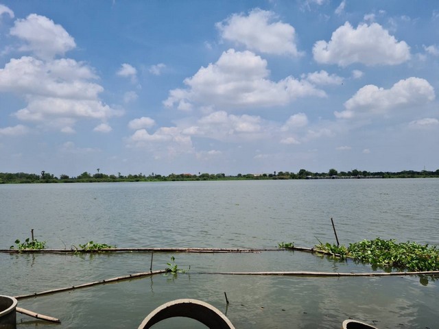 ขายที่ดิน สี่เหลี่ยมผืนผ้า เนื้อที่ 1 ไร่ 2 งาน ติดถนนคอนกรีต ริมแม่น้ำเจ้าพระยา สามโคก ปทุมธานี