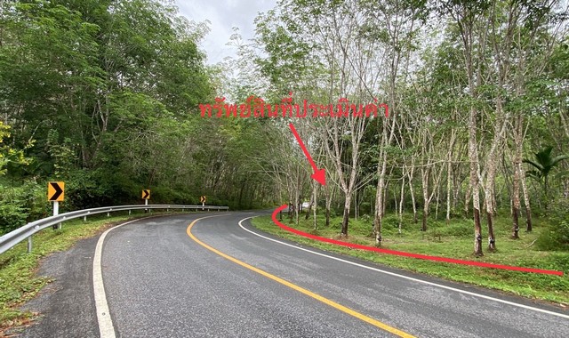 ขายที่ดินว่างเปล่าใกล้ โรงพยาบาลพิปูน อำเภอฉวาง จ.นครศรีธรรมราช PKK01-11785