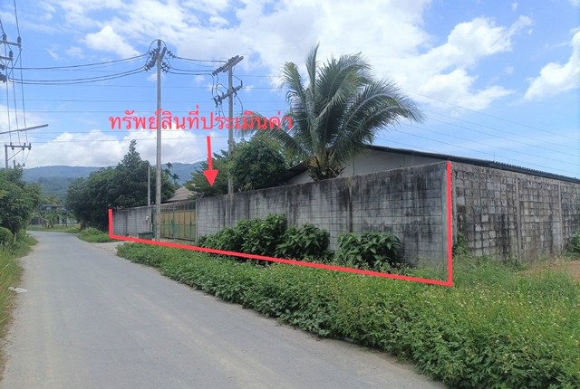   รายละเอียดเพิ่มเติม Code ID : PKK02-15510  ราคาขาย 7,842,000  บาท- ขนาดพื้นที่ :   1536.50 ตร.ว.- พื้นที่ใช้สอย :  161.25 ตร.ม. - จำนวนห้อง :  3 ห้องนอน 2 ห้องน้ำ  - ที่จอดรถ :    1   คัน- บ้านหันทางทิศ : - พิกัดทรัพย์ : https://maps.app.goo.gl/h5UWygaohRmd4JM47    สถานที่ใกล้เคียง- ใกล้ตลาดประชาวัด- ใกล้ชุมชนวัดเทพนมเชือด - ใกล้โรงพยาบาลร่อนพิบูลย์- ใกล้โลตัส โก เฟรช ร่อนพิบูลย์ ,นครศรีธรรมราช โสภณฟู้ดส์มาร์เก็ต สอบถามเพิ่มเติม/นัดชมโทร. 097-4