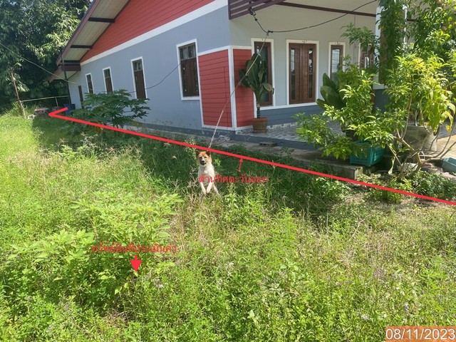 ขายที่ดินว่างเปล่าใกล้ โรงพยาบาลทุ่งใหญ่ อำเภอทุ่งใหญ่ จังหวัดนครศรีธรรมราช PKK01-10609