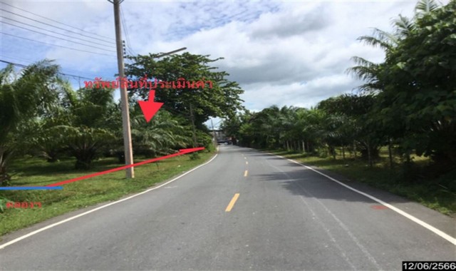 ขายที่ดินว่างเปล่าใกล่ โลตัส จันดี อำเภอฉวาง จังหวัดนครศรีธรรมราช PKK01-12048