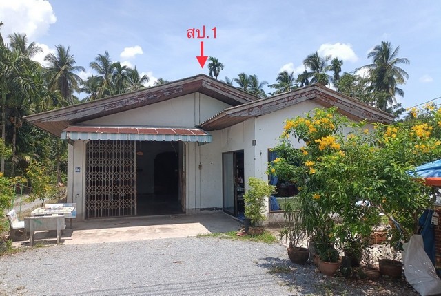     รายละเอียดเพิ่มเติม Code ID : PKK02-15193  ราคาขาย  2,067,000 บาท- ขนาดพื้นที่ :  198.00 ตร.ว. - พื้นที่ใช้สอย :  134.00 ตร.ม. - จำนวนห้อง :  2 ห้องนอน 1 ห้องน้ำ  - ที่จอดรถ :   1    คัน- บ้านหันทางทิศ : - พิกัดทรัพย์ : https://maps.app.goo.gl/aCTmgu1V4Z3FNmoU9    สถานที่ใกล้เคียง- ใกล้ตลาดนัดคลองเหลง- ใกล้โรงพยาบาลส่งเสริมสุขภาพตำบลบ้านเขาหัวช้าง - ใกล้โลตัส สิชล  - ใกล้โลตัส โกเฟรช สิชล   สอบถามเพิ่มเติม/นัดชมโทร. 097-419-5982(พลอย)โทร. 096-932-4624(ออมสิน)Lin