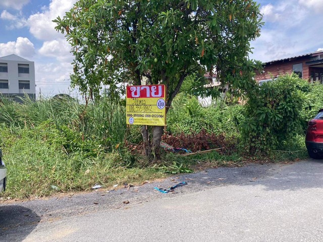 ขายที่ดิน 318 ตารางวา ร่มเกล้า 25/6 ซอยร่มสุข  ลาดกระบัง  กรุงเทพมหานคร   ZT272