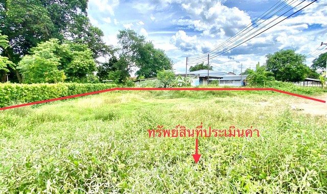 ขายที่ดินว่างเปล่าใกล้ โรงพยาบาลสิชล อ.สิชล จ.นครศรีธรรมราช PKK01-11638
