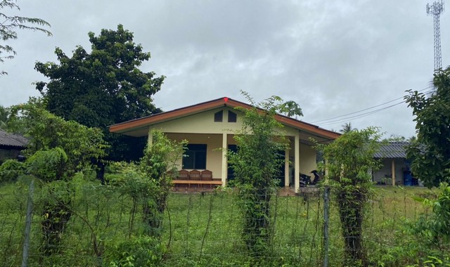 รายละเอียดเพิ่มเติมCode ID : PKK02-13677ราคาขาย         1,613,000 บาท- ขนาดพื้นที่ :   280 ตร.ว (2 งาน / 80 ตร.ว) - พื้นที่ใช้สอย :    108 ตร.ม- จำนวนห้อง :   2 ห้องนอน 1 ห้องน้ำ - ที่จอดรถ :   1-2 คัน- บ้านเดี่ยว  :    1 ชั้น- บ้านเดี่ยวหันทางทิศ : -- อายุอาคาร :     14 ปีพิกัดทรัพย์ :      https://maps.app.goo.gl/cYEyLXY4b4CmZyie8สถานที่ใกล้เคียง- ใกล้โลตัส ตลาด ควนขนุน - ใกล้โลตัส โกเฟรช ควนขนุน - ใกล้โรงพยาบาลควนขนุน- ใกล้โรงเรียนบ้านโคกวาสอบถามเพิ่มเติม/�