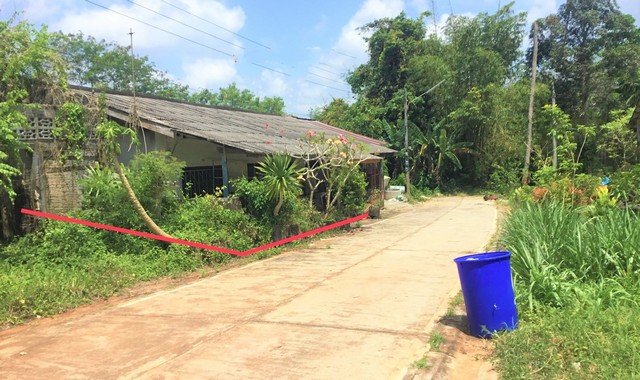 ขายบ้านเดี่ยว   อำเภอเขาชัยสน  พัทลุง (PKK02-15339)