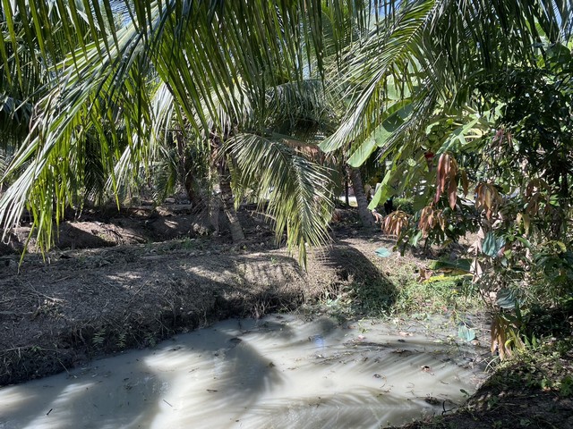 ขายที่ดินสวนมะพร้าวน้ำหอม มีเนื้อที่ 9-2-97 ไร่ ถนนสายเก่า อ.อัมพวา จ.สมุทรสงคราม ขายเหมา 16,000,000 ล้านบาท