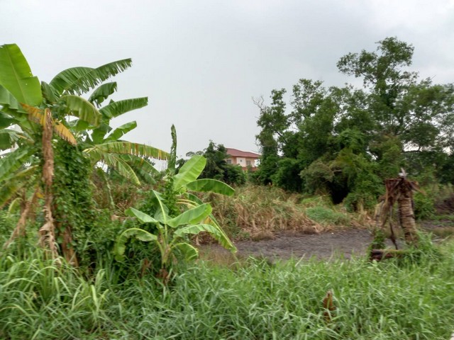 ขายที่ดินเปล่า 200 ตร.ว ซ.การไฟฟ้าย่อยมิตรไมตรี ถ.มิตรไมตรี