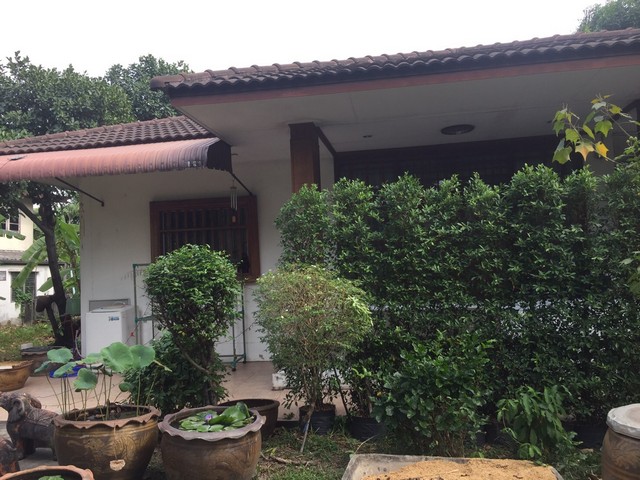 ขายด่วนที่ดินพร้อมสิ่งปลูกสร้าง ซ.นวมินทร์ 68 แยก 2 แขวงคลองกุ่ม เขตบึงกุ่ม กรุงเทพมหานคร