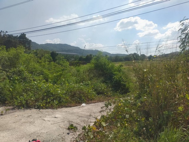 CK078ขายที่ดินติดถนนเส้น 36 ผังม่วงลาย 79 ไร่-ที่ตั้ง ต.มะขามคู่ อ.นิคมพัฒนา จ.ระยอง-เนื้อที่ 79-1-23.5 ไร่-ราคาขาย ไร่ละ 4.5 ล้าน-ผังสีม่วงลาย-หน้ากว้างติดถนน 180 เมตร-ด้านหลังติดถนนสาย 9-ห่างจากแยกขนำไร่ 2.6 กม.-ห่างจากเทศบาลมะขามคู่ 1.4 กม.สนใจสอบถาม0958134978 คุณต่อ  (ไอดีไลน์)toor2525250618192224  คุณขิง (โทร+ไลน์+watsapp)