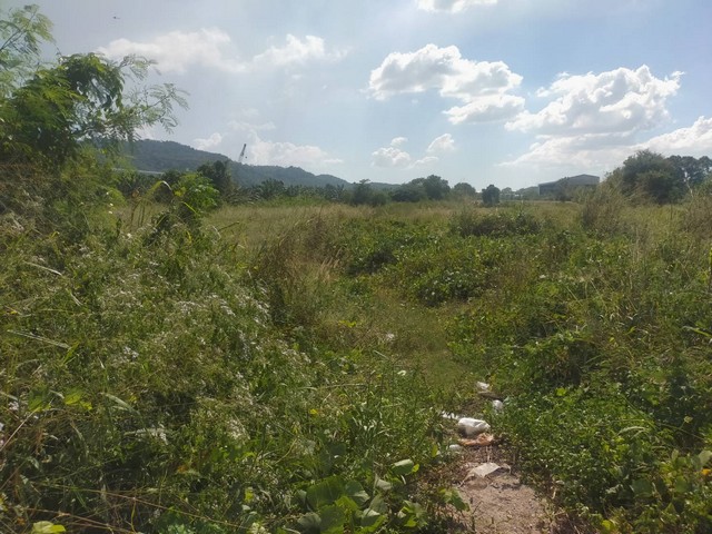 ที่ดินติดถนนเส้น36 ผังสีม่วงลาย 79 ไร่เขตนิคมพัฒนา