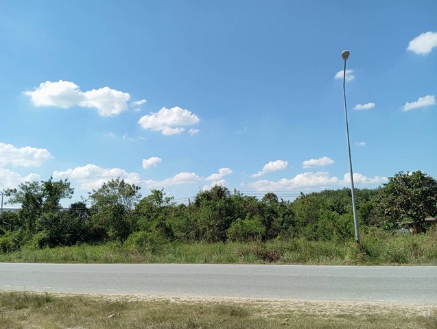 ที่ดินผังม่วงลายเขตนิคมพัฒนา พร้อมอาคาร 1 หลัง หน้าติดถนนลาดยาง