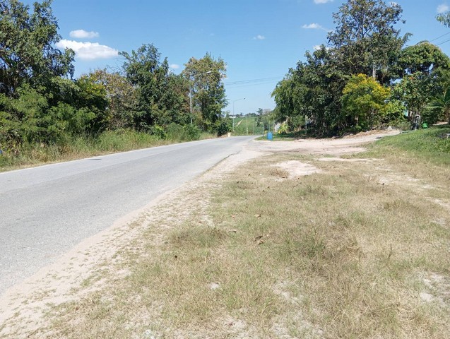 ที่ดินผังม่วงลายเขตนิคมพัฒนา พร้อมอาคาร 1 หลัง หน้าติดถนนลาดยาง