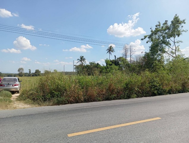 ที่ดินนิคมพัฒนาซอย 9 ผังสีม่วงลาย มะขามคู่ ระยอง 25 ไร่