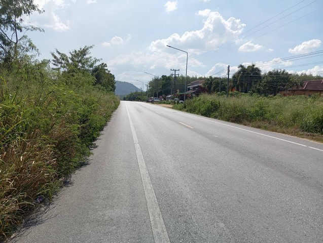 ที่ดินนิคมพัฒนาซอย 9 ผังสีม่วงลาย มะขามคู่ ระยอง 25 ไร่