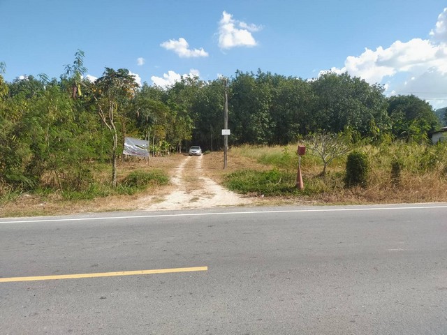 ขายที่ดินใกล้ถนนเส้น 36 นิคมพัฒนา จ.ระยอง ผังม่วงลาย