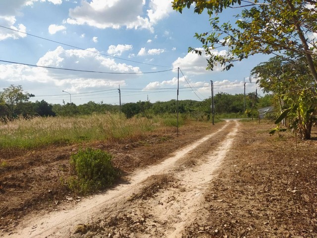 ขายที่ดินใกล้ถนนเส้น 36 นิคมพัฒนา จ.ระยอง ผังม่วงลาย