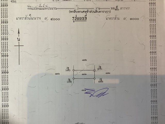 ขาย ที่ดินเปล่าถมแล้ว (แปลง4) ต.ดู่ใต้ อ.เมืองน่าน จ.น่าน เหมาะสำหรับสร้างบ้าน