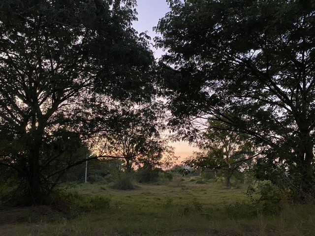 ขายที่ดินใน อ.โพธาราม 8ไร่  ต.คลองข่อย อ.โพธาราม จ.ราชบุรี