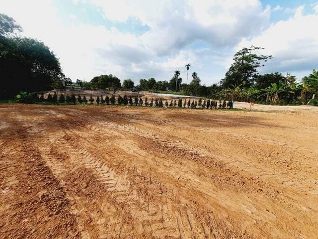 ขายที่ดินถมแล้วหลัง อบต.บ้านแลง เมือง ระยอง 206 ตารางวา