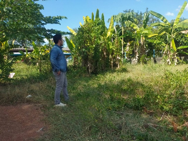 ที่ดินถมแล้ว 141 ตรว.เขตตลาดสามย่าน อ.แกลง จ.ระยองเหมาะสร้างบ้านพักสวยๆ