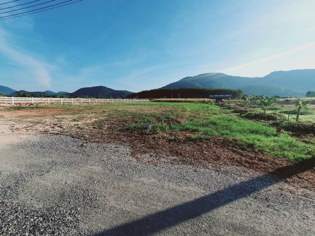 ที่ดินติดถนนสองด้านวิวเขาเขตบ้านแลง อ.เมือง จ.ระยอง