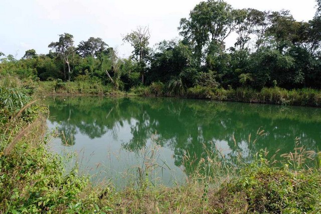 สวนผสมใกล้ถนนเส้น344 เขตพลงตาเอี่ยมไร่ละ 9แสน8 พร้อมบ้าน