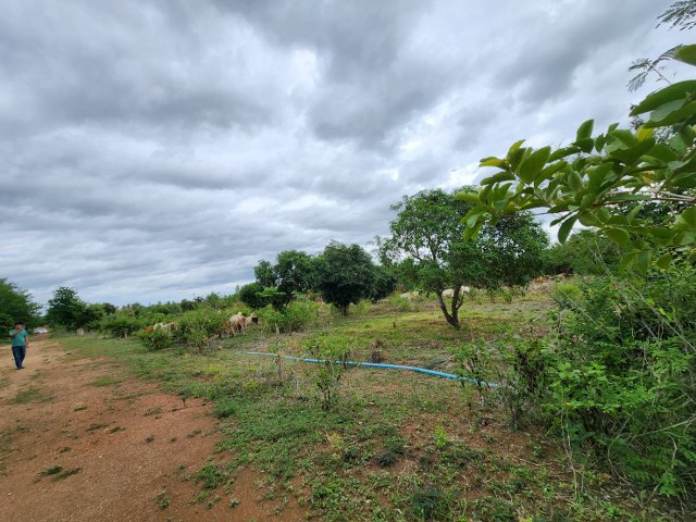 ขายถูกที่ดินแปลงสวย เนื้อที่  6 ไร่  26.3 ตร.ว. ติดถนนสาธารณะ 2 ด้าน ห่างจากถนนสายรางบัว-จอมบึง 500 เมตร  อำเภอจอมบึง จังหวัดราชบุรี