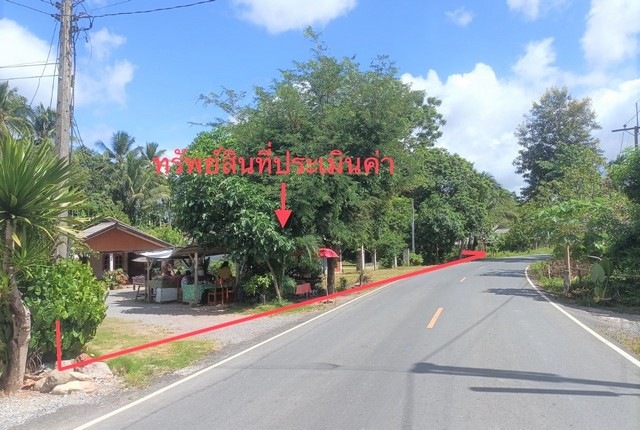   รายละเอียดเพิ่มเติม Code ID : PKK02-10254  ราคาขาย  2,613,000 บาท- ขนาดพื้นที่ :   1626.00 ตร.ว- พื้นที่ใช้สอย :   153.00 ตร.ม.- จำนวนห้อง :   2 ห้องนอน 1 ห้องน้ำ - ที่จอดรถ :    1   คัน- บ้านหันทางทิศ : - พิกัดทรัพย์ : https://maps.app.goo.gl/pVUaubXV8wt9d1Qz9    สถานที่ใกล้เคียง- ใกล้โลตัส​ คลองปาง - ใกล้ซุปเปอร์โอ๊ค ซุปเปอร์มาร์เก็ต - ใกล้โรงพยาบาลค่ายเทพสตรีศรีสุนทร- ใกล้HLM 7 นายเชือน พลเมือง   สอบถามเพิ่มเติม/นัดชมโทร. 097-419-5982(พลอย)โทร. 096-932-4624(ออ�