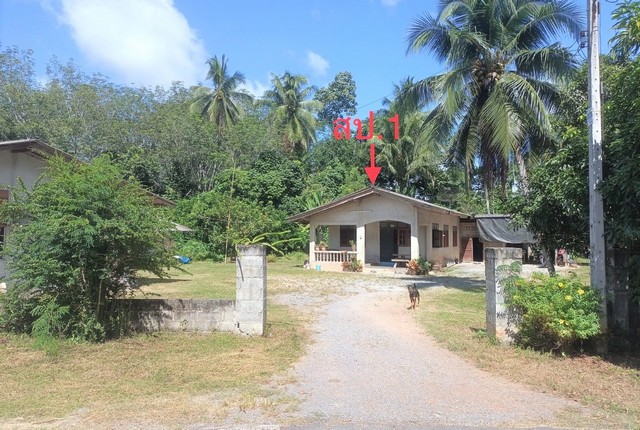 ขายบ้านเดี่ยวใกล้ โลตัส​ คลองปาง อำเภอทุ่งสง จังหวัดนครศรีธรรมราช PKK02-10254