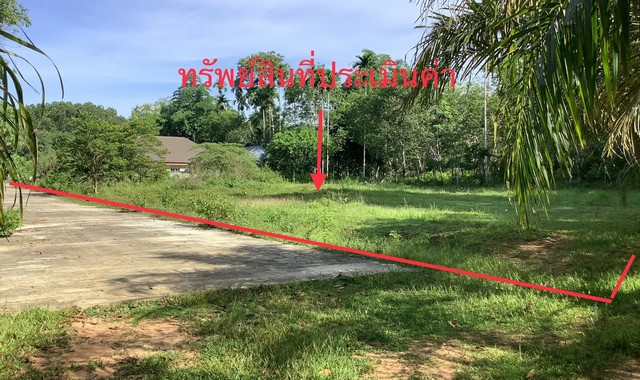 ขายที่ดินว่างเปล่าใกล้ โรงพยาบาลบางขัน อำเภอบางขัน จังหวัดนครศรีธรรมราช PKK01-10335