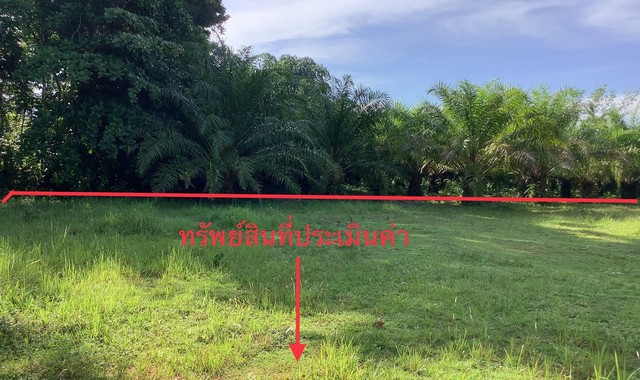 ขายที่ดินว่างเปล่าใกล้ โรงพยาบาลบางขัน อำเภอบางขัน จังหวัดนครศรีธรรมราช PKK01-10335