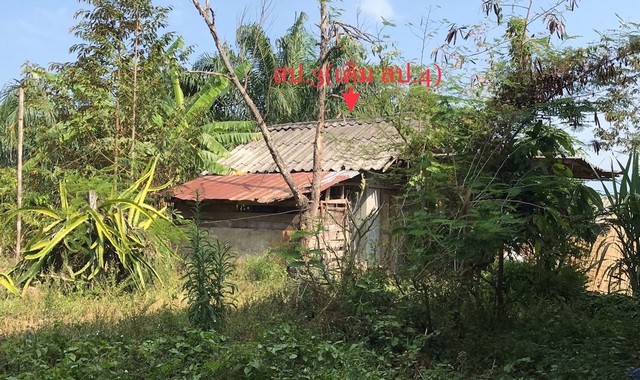 ขายบ้านเดี่ยวใกล้ โรงพยาบาลนาบอน อำเภอช้างกลาง จังหวัดนครศรีธรรมราช PKK02-14527