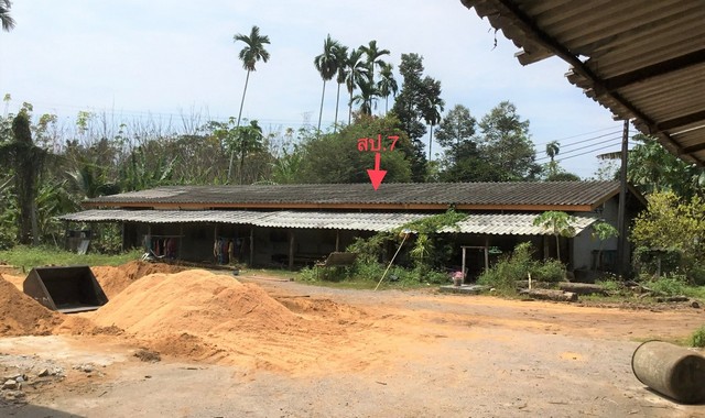 ขายบ้านเดี่ยวใกล้ โรงพยาบาลทุ่งสง อำเภอทุ่งสง จังหวัดนครศรีธรรมราช PKK02-13196