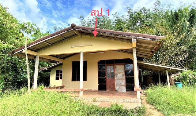  รายละเอียดเพิ่มเติม Code ID : PKK02-09855  ราคาขาย  2,587,000 บาท- ขนาดพื้นที่ :   2649.00 ตร.ว.- พื้นที่ใช้สอย :   114.00 ตร.ม.- จำนวนห้อง :   2 ห้องนอน 1 ห้องน้ำ - ที่จอดรถ :    1   คัน- บ้านหันทางทิศ : -  พิกัดทรัพย์ : https://maps.app.goo.gl/153NezRwssvHuYHt8    สถานที่ใกล้เคียง- ใกล้โรงพยาบาลบางขัน- ใกล้คลังสินค้าขายทุกอย่าง - ใกล้ โลตัส โก เฟรช บางขัน นครศรีธรรมราช- ใกล้ ตลาดนัดบ้านหนองเจสอบถามเพิ่มเติม/นัดชมโทร. 097-419-5982(พลอย)โทร. 096-932-4624(ออมสิ�